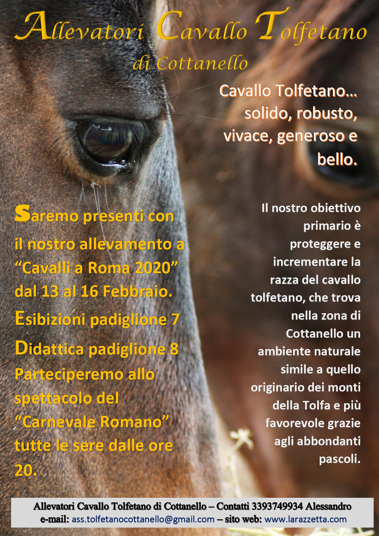 allevamento volpi 2_page-0001